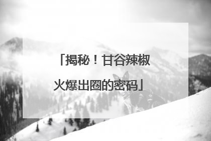 揭秘！甘谷辣椒火爆出圈的密码