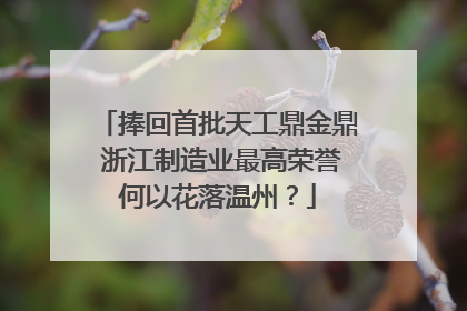 捧回首批天工鼎金鼎 浙江制造业最高荣誉何以花落温州？