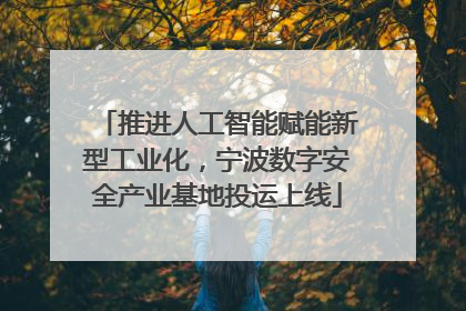 推进人工智能赋能新型工业化，宁波数字安全产业基地投运上线