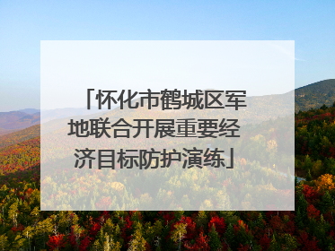怀化市鹤城区军地联合开展重要经济目标防护演练