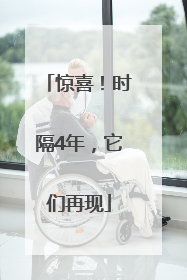 惊喜！时隔4年，它们再现