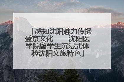 感知沈阳魅力传播盛京文化——沈阳医学院留学生沉浸式体验沈阳文旅特色