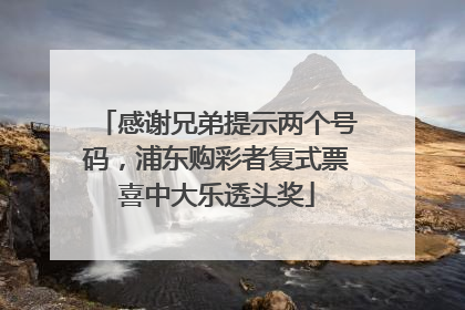 感谢兄弟提示两个号码，浦东购彩者复式票喜中大乐透头奖