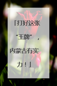 打好这张“王牌”，内蒙古有实力！