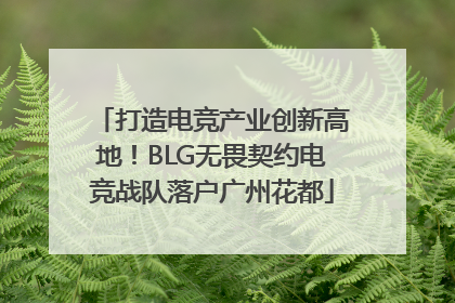 打造电竞产业创新高地！BLG无畏契约电竞战队落户广州花都