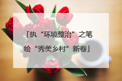 执“环境整治”之笔 绘“秀美乡村”新卷