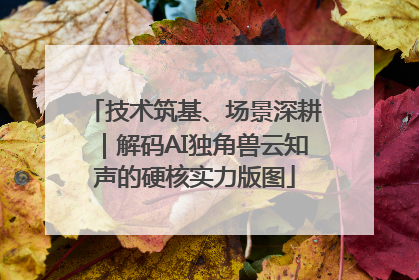 技术筑基、场景深耕｜解码AI独角兽云知声的硬核实力版图
