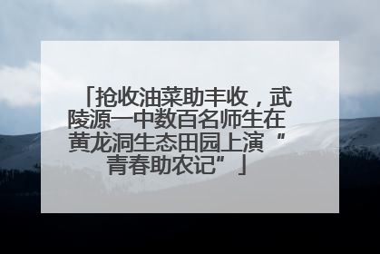 抢收油菜助丰收，武陵源一中数百名师生在黄龙洞生态田园上演“青春助农记”