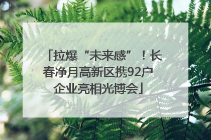 拉爆“未来感”！长春净月高新区携92户企业亮相光博会