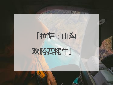 拉萨：山沟欢腾赛牦牛