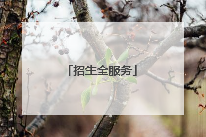 招生全服务