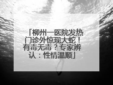 柳州一医院发热门诊外惊现大蛇！有毒无毒？专家辨认：性情温顺