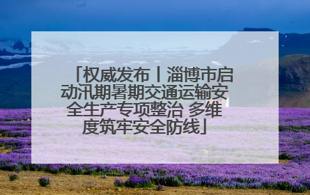 权威发布丨淄博市启动汛期暑期交通运输安全生产专项整治 多维度筑牢安全防线