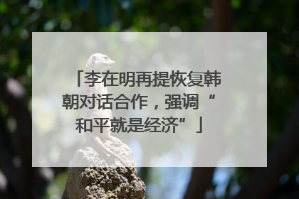 李在明再提恢复韩朝对话合作，强调“和平就是经济”