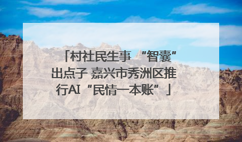 村社民生事 “智囊”出点子 嘉兴市秀洲区推行AI“民情一本账”