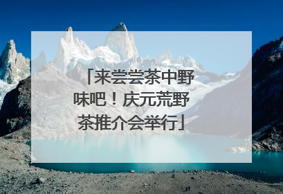 来尝尝茶中野味吧！庆元荒野茶推介会举行
