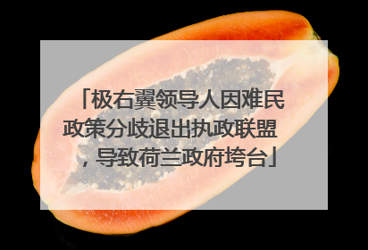 极右翼领导人因难民政策分歧退出执政联盟，导致荷兰政府垮台
