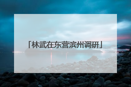 林武在东营滨州调研
