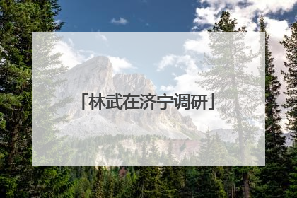 林武在济宁调研