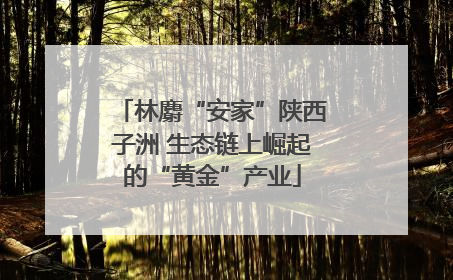 林麝“安家”陕西子洲 生态链上崛起的“黄金”产业