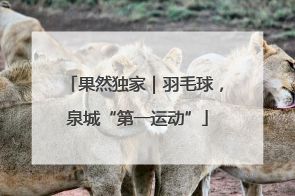 果然独家｜羽毛球，泉城“第一运动”
