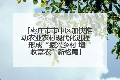 枣庄市市中区加快推动农业农村现代化进程 形成“振兴乡村 增收富农”新格局
