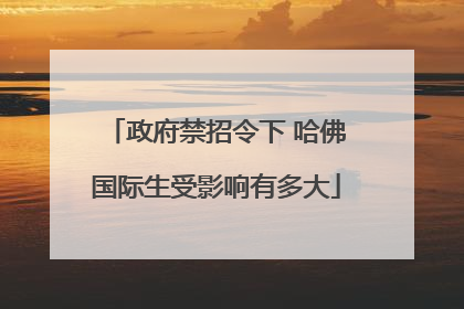 政府禁招令下 哈佛国际生受影响有多大