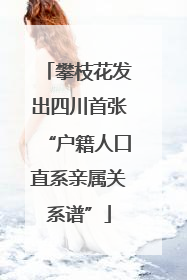 攀枝花发出四川首张“户籍人口直系亲属关系谱”