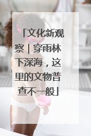 文化新观察｜穿雨林下深海，这里的文物普查不一般