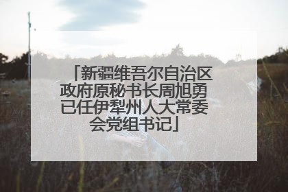 新疆维吾尔自治区政府原秘书长周旭勇已任伊犁州人大常委会党组书记