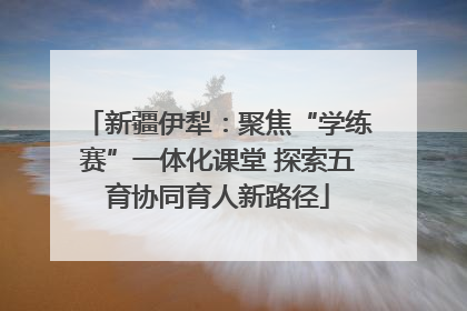 新疆伊犁：聚焦“学练赛”一体化课堂 探索五育协同育人新路径
