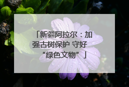 新疆阿拉尔：加强古树保护 守好“绿色文物”