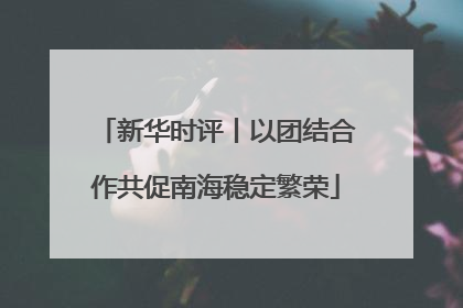 新华时评丨以团结合作共促南海稳定繁荣