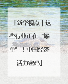 新华视点｜这些行业正在“爆单”！中国经济活力密码