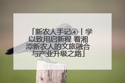 新农人手记④丨学以致用启新程 看湘潭新农人的文旅融合与产业升级之路