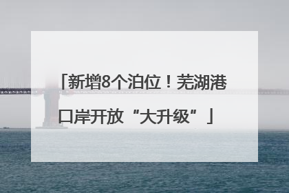 新增8个泊位！芜湖港口岸开放“大升级”