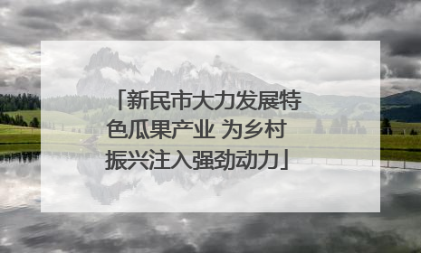 新民市大力发展特色瓜果产业 为乡村振兴注入强劲动力