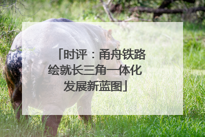时评：甬舟铁路绘就长三角一体化发展新蓝图