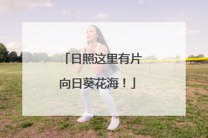 日照这里有片向日葵花海！