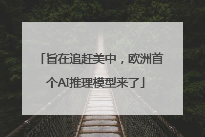 旨在追赶美中，欧洲首个AI推理模型来了