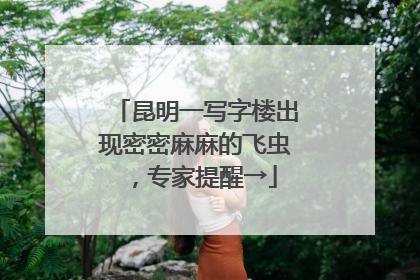 昆明一写字楼出现密密麻麻的飞虫，专家提醒→