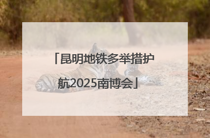 昆明地铁多举措护航2025南博会