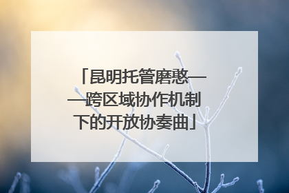 昆明托管磨憨——跨区域协作机制下的开放协奏曲