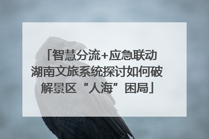 智慧分流+应急联动 湖南文旅系统探讨如何破解景区“人海”困局