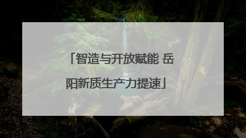 智造与开放赋能 岳阳新质生产力提速