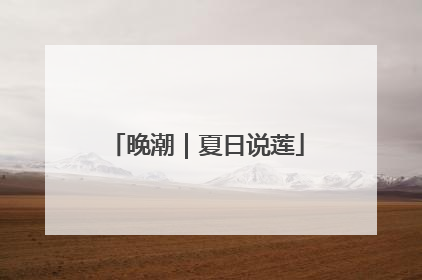 晚潮｜夏日说莲