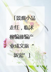 景观小品走红，临沭柳编藤编产业成文旅“新宠”