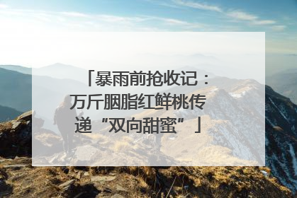 暴雨前抢收记：万斤胭脂红鲜桃传递“双向甜蜜”