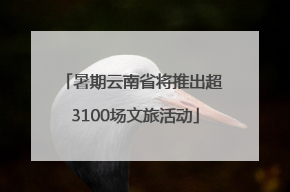 暑期云南省将推出超3100场文旅活动