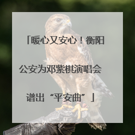 暖心又安心！衡阳公安为邓紫棋演唱会谱出“平安曲”